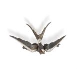 AN EARLY 20TH CENTURY RUBY AND DIAMOND PENDANT/BROOCH, CIRCA 1900 Modelled as a swallow in