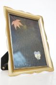 Brass framed original spiders web signed 1923