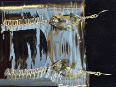 Swarovski earrings with box