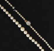 Pearl necklace with yellow diamond clasp