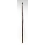 Militaria : a 19thC Manton type cavalry lance / spear with bamboo shaft and steel tip, approx 81 1/
