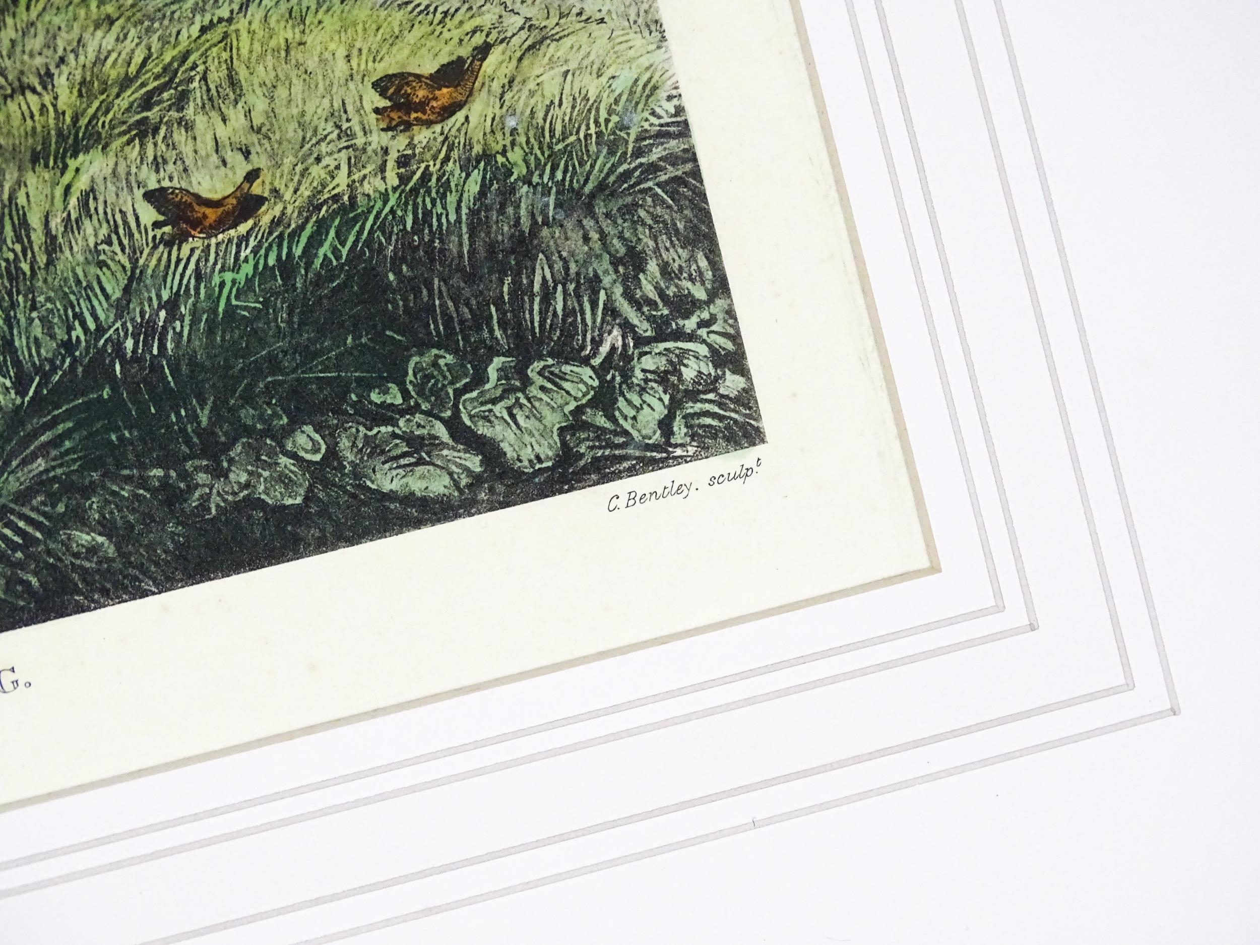 After Henry Alken, Aquatint engravings with hand colouring, Plates 1 - 4 titled Pheasant Shooting. - Image 19 of 19