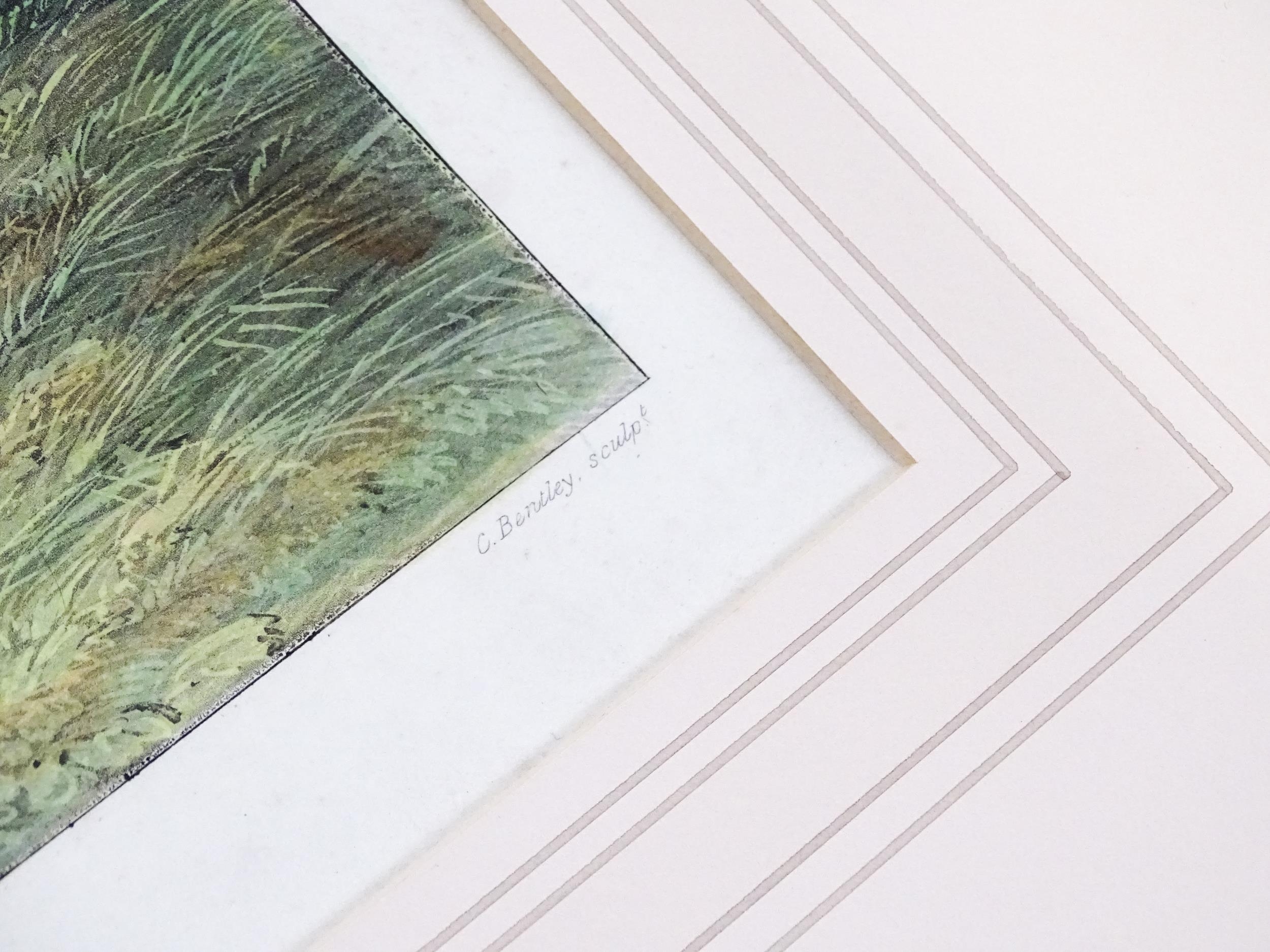 After Henry Alken, Aquatint engravings with hand colouring, Plates 1 - 4 titled Pheasant Shooting. - Image 11 of 19