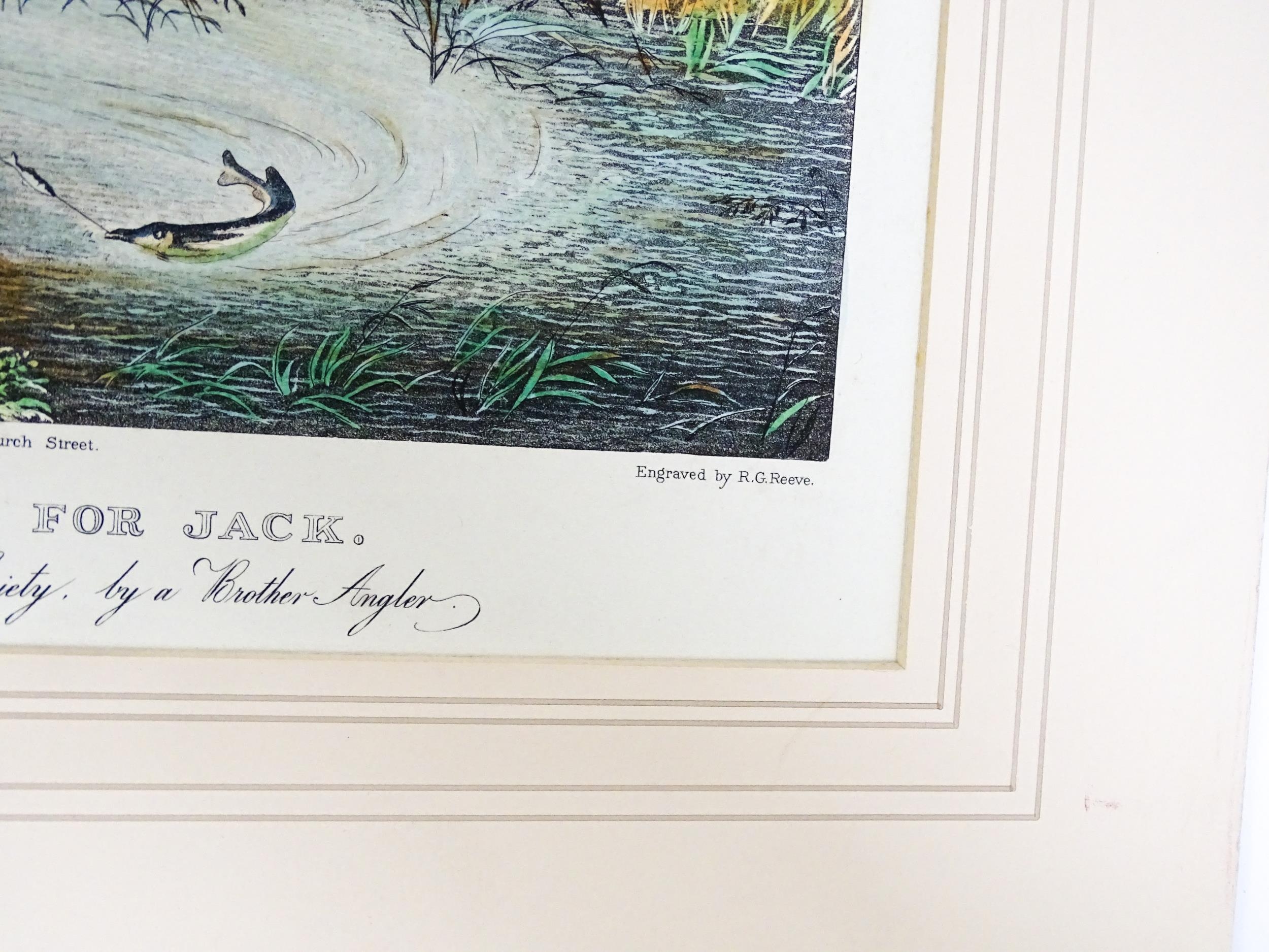 After Henry Alken, Aquatint engravings with hand colouring, Plates 1 - 4 titled Pheasant Shooting. - Image 15 of 19