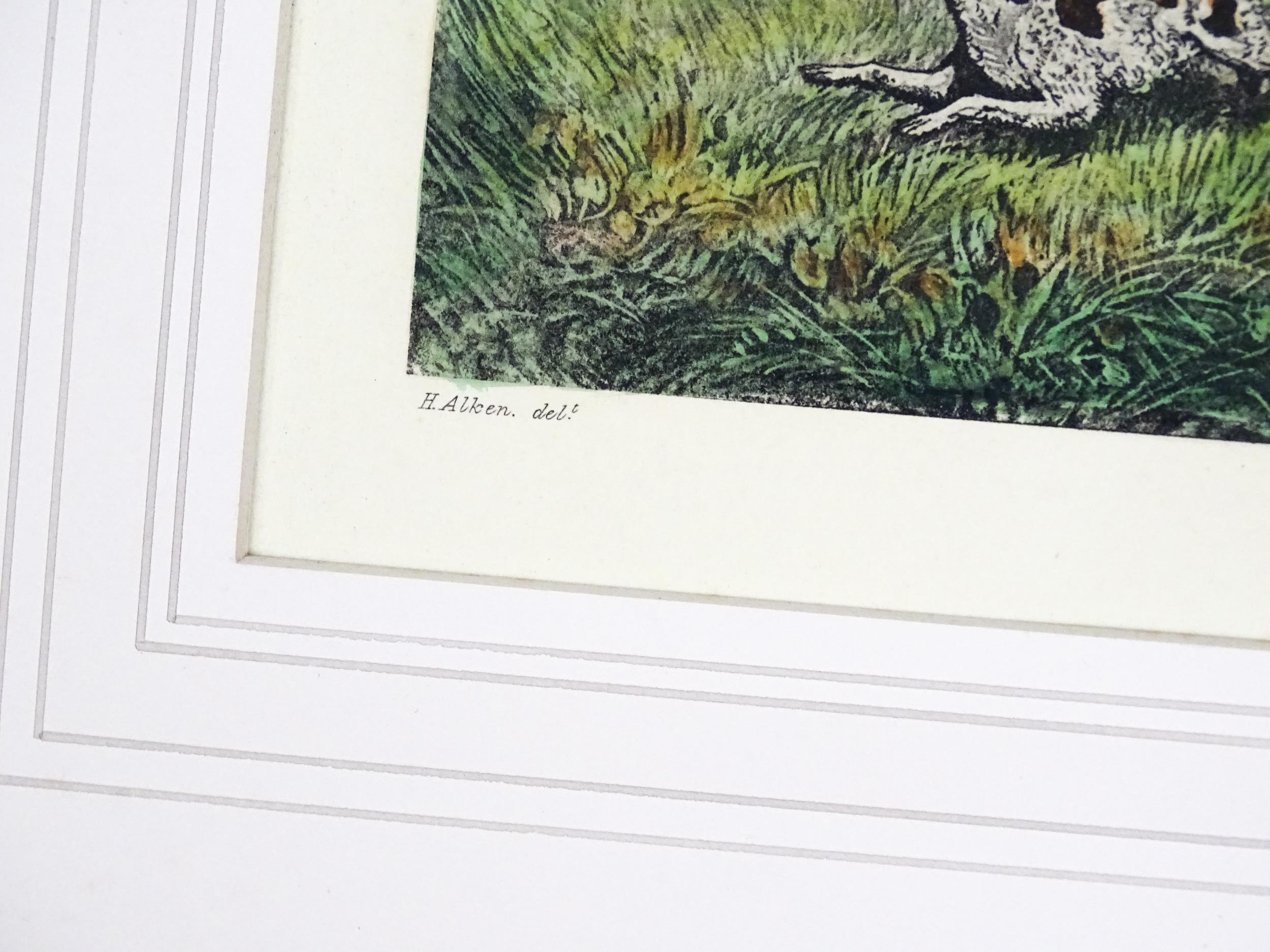 After Henry Alken, Aquatint engravings with hand colouring, Plates 1 - 4 titled Pheasant Shooting. - Image 18 of 19