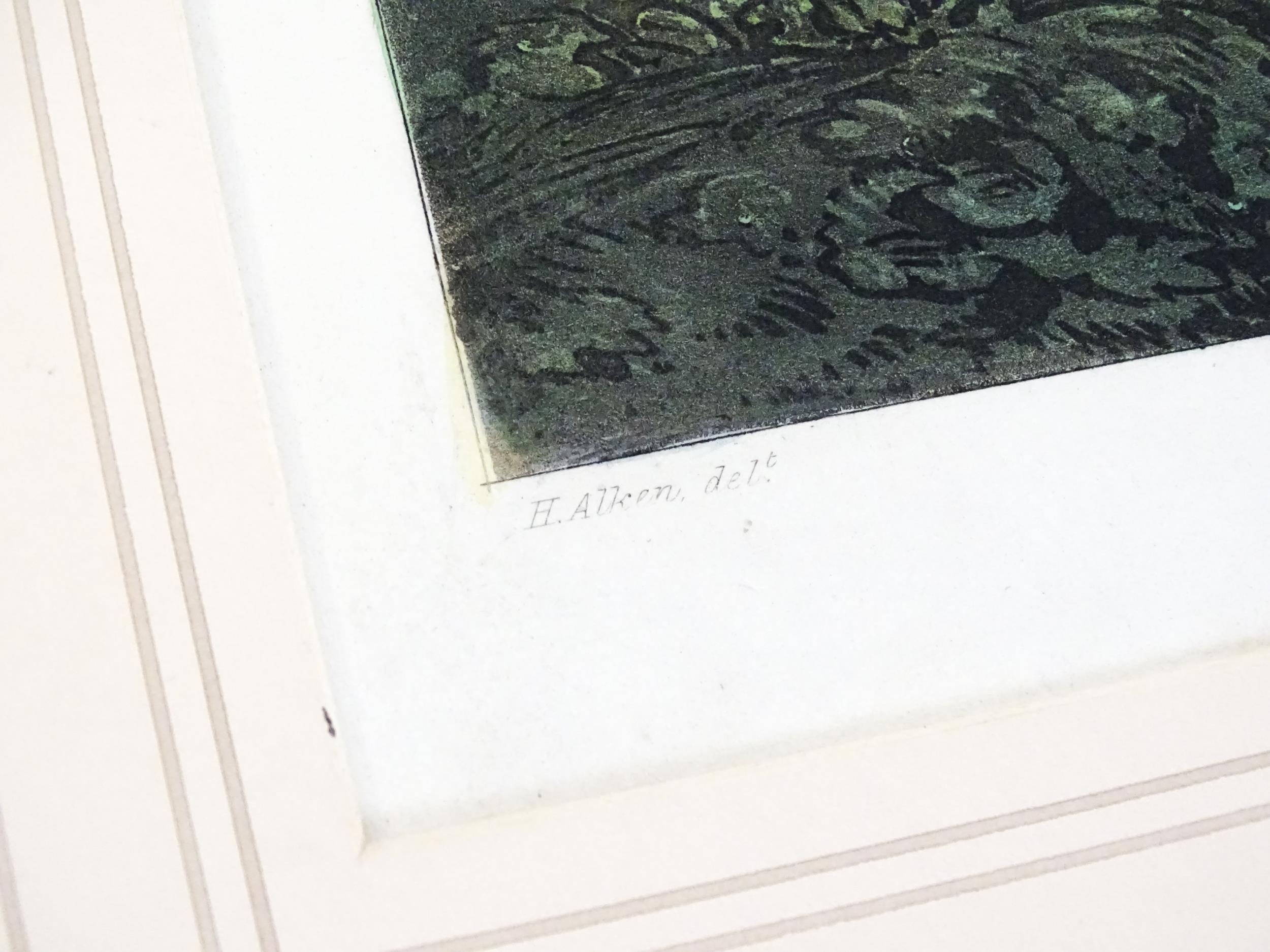 After Henry Alken, Aquatint engravings with hand colouring, Plates 1 - 4 titled Pheasant Shooting. - Image 10 of 19