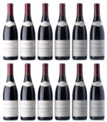 BOURGOGNE - Les Vaucrains, Nuits-Saint-Georges, Domain Jean Chauvenet, 2007-2009