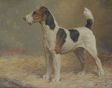 PERCY J BAYZAND - COLLARBONE OF NOTTS - OIL ON CANVAS PAINTING OF A FOX TERRIER DOG