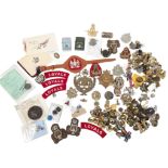 COLLECTION OF BRITISH MILITARY BADGES & UNIFORM PATCHES