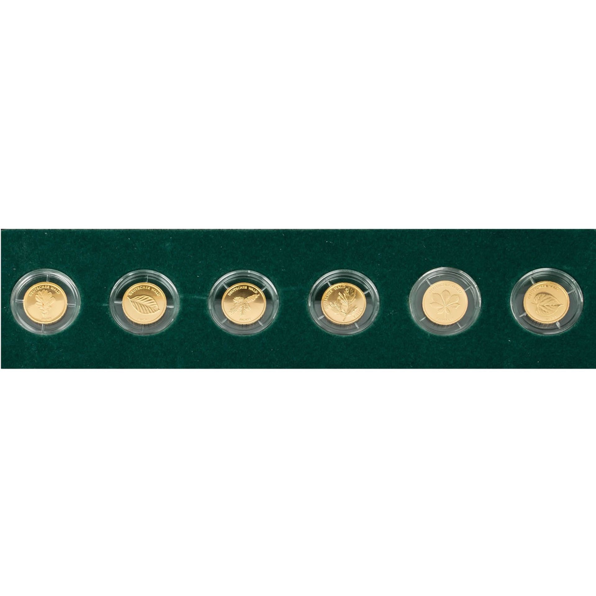 BRD/Gold - Set 20 Euro Goldmünzen Serie Deutscher Wald komplett - Bild 2 aus 3