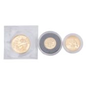 China/ GOLDlot- 3x China Panda,