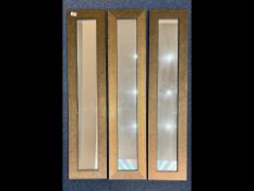 Set of Three Modern Tall Slim Mirrors, with modern black frames, each measures 44'' high x 10''