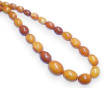 A single strand graduated oval amber bead necklace, 110cm, gross weight 103 grams. Condition -