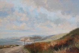 Mary Wastie, oil on canvas, Coastal view, signed, 50 x 76cm, unframed. Condition - fair to good