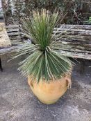 A circular terracotta garden planter, diameter 60cm, height 56cm. Condition - fair