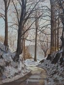 C. McBain, oil on board, Tree-lined pathway in winter, signed, 46 x 35cm, unframed. Condition - fair
