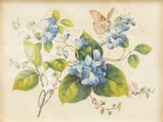 Chinese Export school, study of butterflies amongst flowering foliage, watercolour, 16 x 21cm