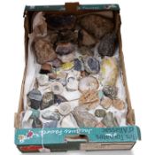 A collection of mineral and crystal samples, including large quartz segments and a good variety of