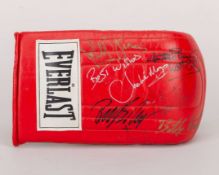 Boxing glove multi-signed by six British champions