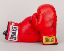 Boxing gloves signed by the British Champions Barry McGuigan and Dave Boy Green&nbsp;