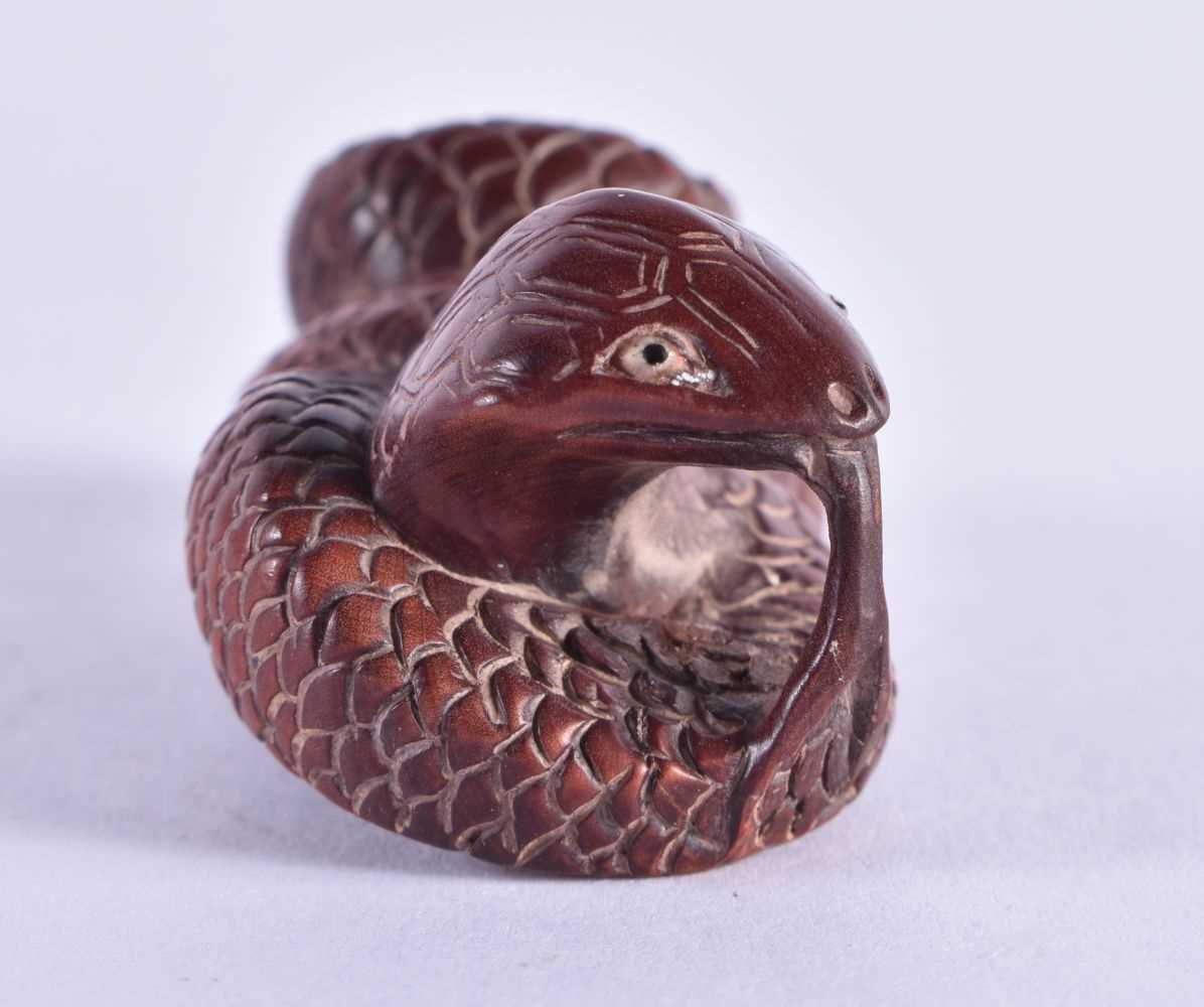 A JAPANESE WOOD SNAKE NETSUKE. 5.25 cm x 2.75 cm. - Image 2 of 5