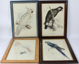 EDWARD LEAR 'Baudin's Cockatoo' 'Greater Sulphur crested Cockatoo' 'Leadbeater's Cockatoo' and '