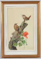RICHARD BRITTON Two wrens on a stump with poppies watercolour signed 31 x 19cm