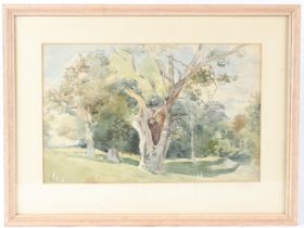 ENGLISH SCHOOL (20TH CENTURY) Woodland view, watercolour 27 x 42.5cm