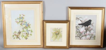 JOYCE ROGERSON Bird studies group of three watercolours all signed with artists labels on the