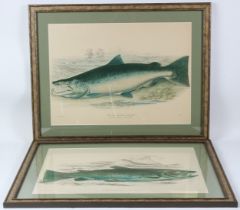 W H LIZARS AFTER WILLIAM JARDINE Salmon on a riverbank in landscape settings, pair of coloured
