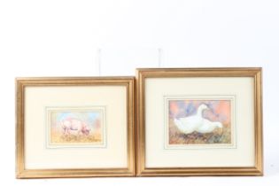 PE MACARTHY MONEGH (20TH CENTURY) Pair of geese and a pig Two watercolours, signed 10.5 x 15cm and
