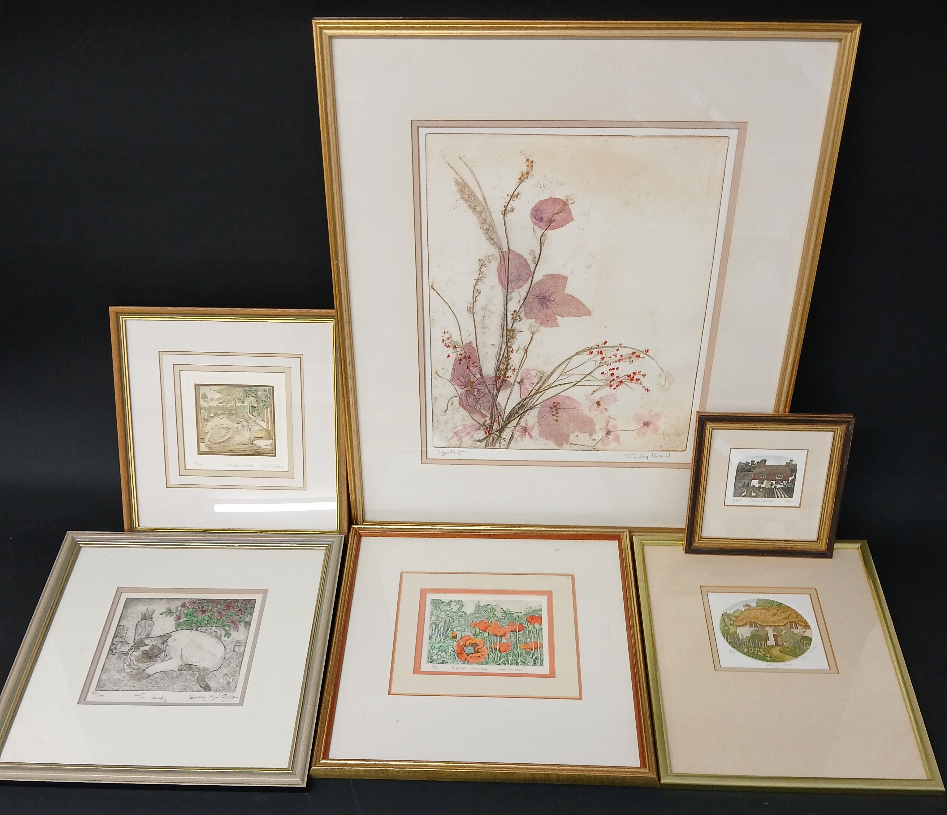 Selection of framed etchings / prints including Stephen Whittle, Chad Coleman, Chand Truscott,