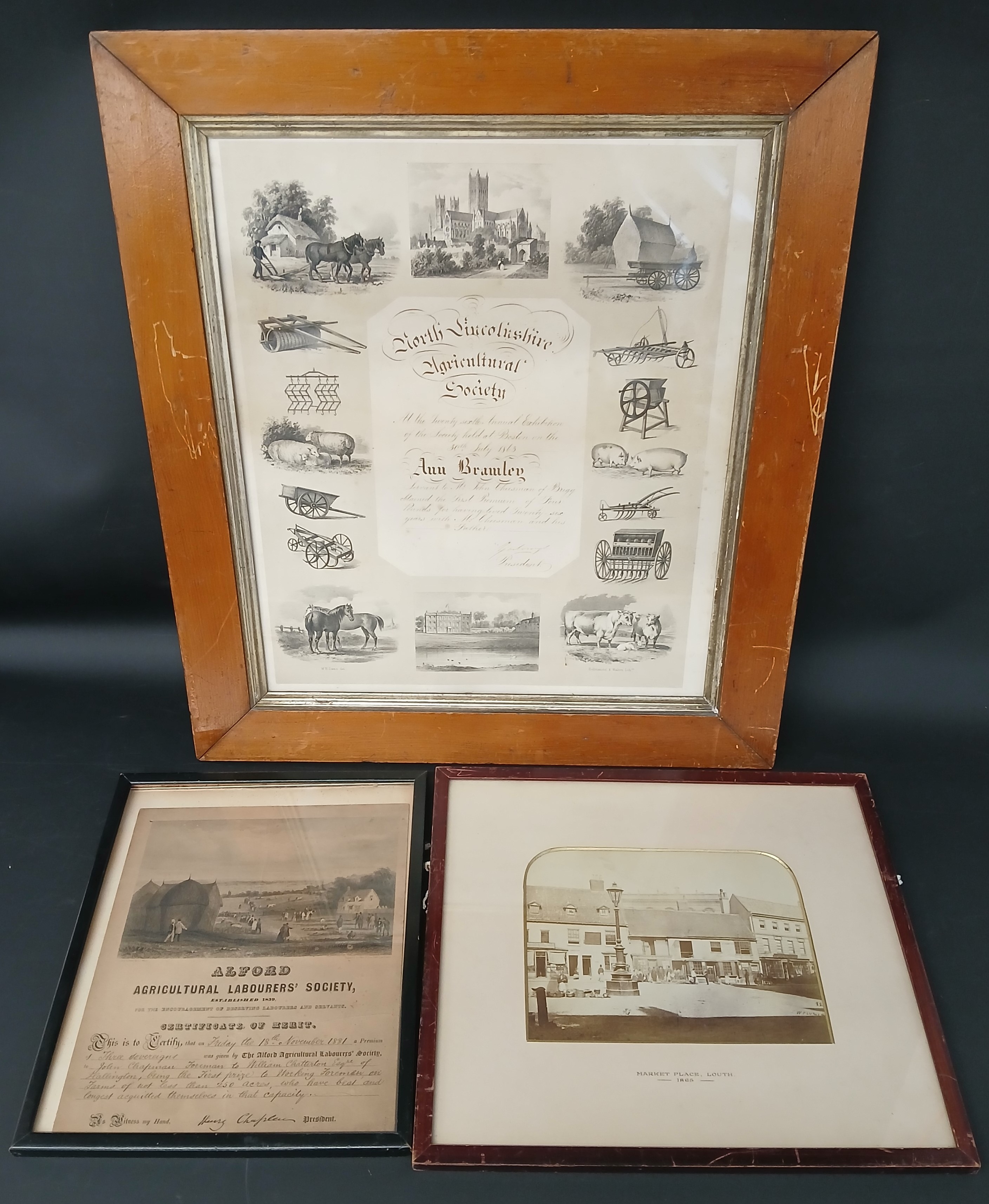 North Lincolnshire Agricultural Society framed certificate awarded to Ann Bramley July 1863 (servant