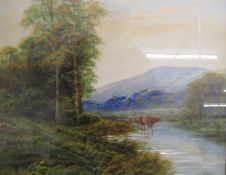 T Wood framed oil on board - cattle in a river - approx. 59cm x 49cm