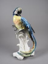A Karl Ens model macaw, 11 1/2" high (chipped tail feather)