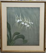 An Art Nouveau painting of an Orchid, signed and framed, 55 x 62cm overall.