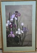 An Art Nouveau painting of Iris flowers, signed and framed, 63.5 x 95cm overall.