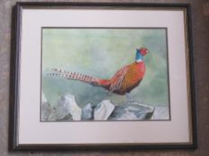 A watercolour painting of a pheasant, framed.