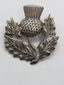 A silver Scottish thistle brooch.
