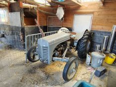 Grey Ferguson TE20 (Located in Brettenham, no VAT)