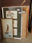 A collection of various framed prints on various subjects