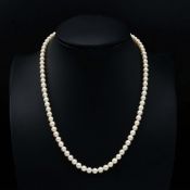 A SINGLE STRAND CULTURED PEARL CHOKER NECKLACE.