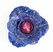 LADY ANNE GORDON (1924-2007). A CERAMIC CABBAGE. (d)