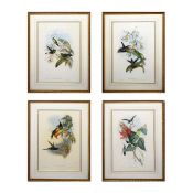 JOHN GOULD (1804-1881). After. A SET OF FOUR ORNITHOLOGICAL PRINTS (4).