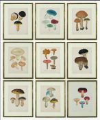 JOSEPH ROQUES. SET OF NINE 19TH CENTURY ORIGINAL HAND COLOURED FRENCH ENGRAVINGS OF MUSHROOMS (9).