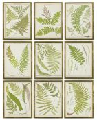 FRANCIS GEORGE HEATH. A SET OF NINE LIFE SIZE 19TH CENTURY BRITISH FERNS RARE CHROMOLITHOGRAPHS.