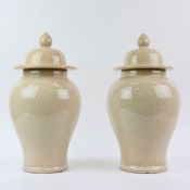 SELECTED BY PAOLO MOSCHINO CRACKLE GLAZED JARS, A PAIR.