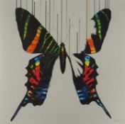 Louise McNaught (b.1984) Butterfly signed and numbered in pencil screenprint 59 x 60cm.