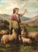 David W. Haddon (1859-1911) Shepherdess feeding her sheep in a mountainous valley, signed, oil on