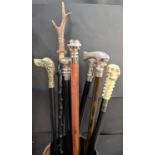 A selection of novelty 20th century walking sticks, one with compass and test-tube, resin skull